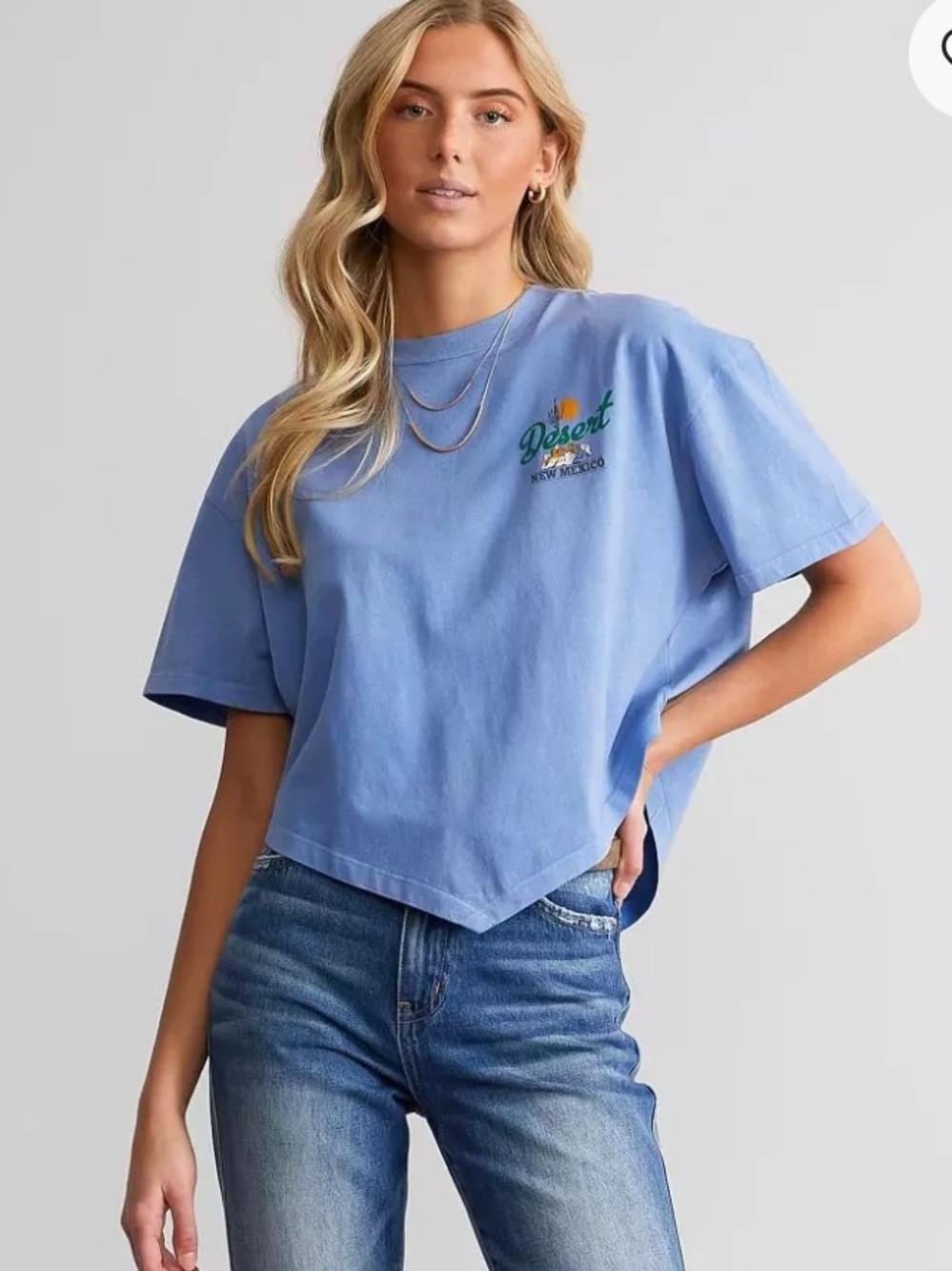 Modish Rebel/Buckle - Desert New Mexico Graphic Tee - Light Blue - Size XL